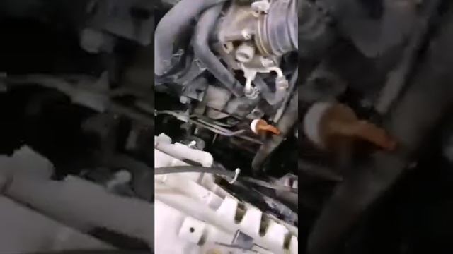 Тойота королла 120 Тюмень смотреть онлайн