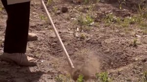 Плоскорез фокина, как работать плоскорезом