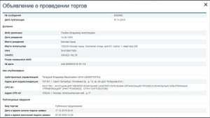 Лот не опубликован на ЕФРСБ: что делать?