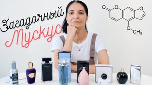 Мускус в парфюмерии