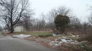 Обычная америка штат Мичиган ч1