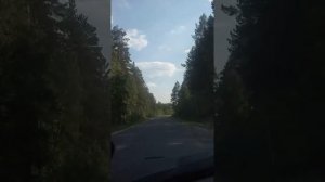 Дорога в сказку!лесное матюнино!