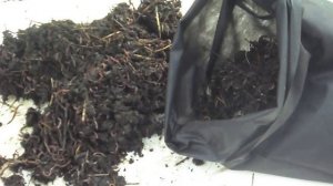 Червь для рыбалки. Разведение червей для рыбалки в домашних условиях.