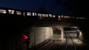 Русич на мосту между Станциями: Измайловская и Партизанская. И кот))