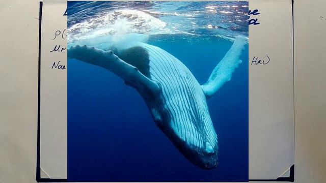 22. Вода. Физические и химические свойства. смотреть онлайн