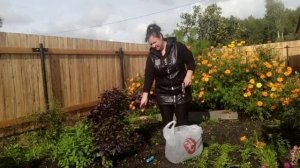 Купили дачу#Часть 2#Навожу порядок#