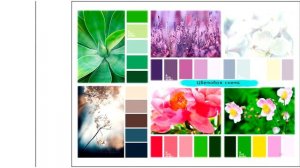 Курсы ландшафтного дизайна · Презентация курса · Преподаватель Сурнакина О. Н. | 16+