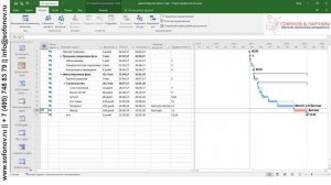 MS Project2016 Визуальный Ресурсный оптимизатор