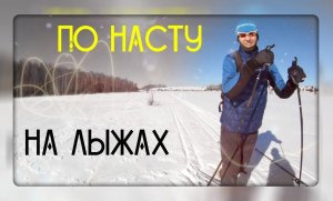 Наст. Лыжи. Весна. Март. Карино.