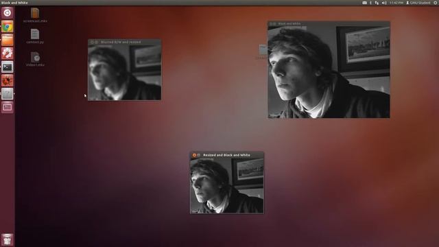 OpenCV Live Feed Manipulation examples (Black/White,Window Resize,and Image Blur)