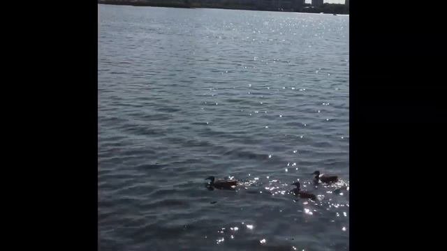 Russia. Tatarstan. Kazan. Lake Kaban. Казань, набережная озера Кабан