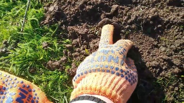 КОП ВОЗЛЕ ЦАРСКОЙ ПОЧТОВОЙ СТАНЦИИ смотреть онлайн