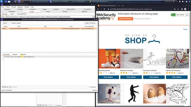 Information disclosure on debug page Video solution Audio
