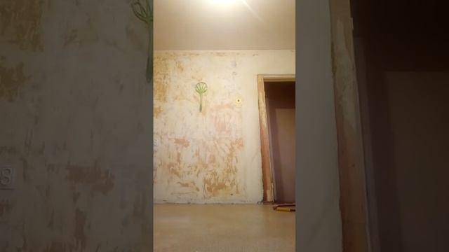 Мяч Дома смотреть онлайн