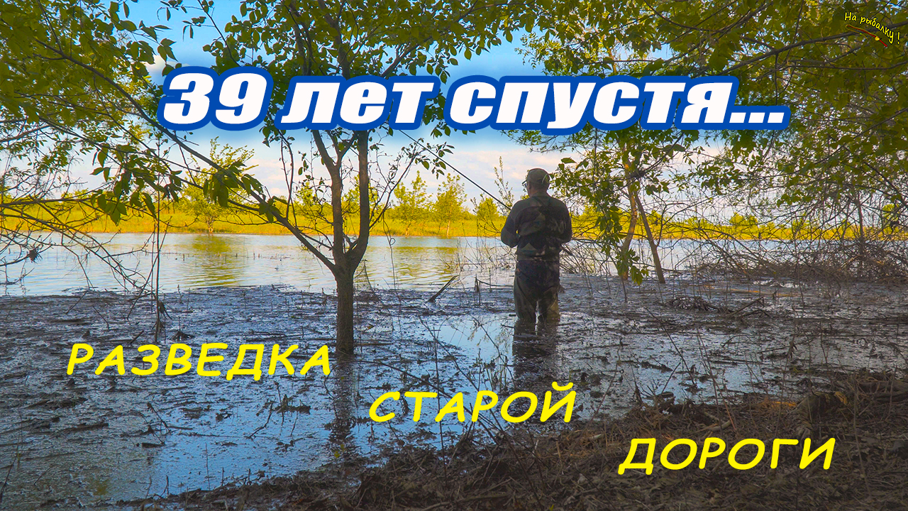 39 лет спустя.. Старая дорога.
