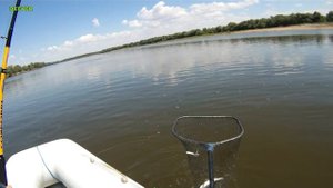 Воспоминания из прошлого - отдых дикарём на Ахтубе, Лес и рыба Харабали - фильмы ДИВЕРА