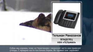 Хуже зверей