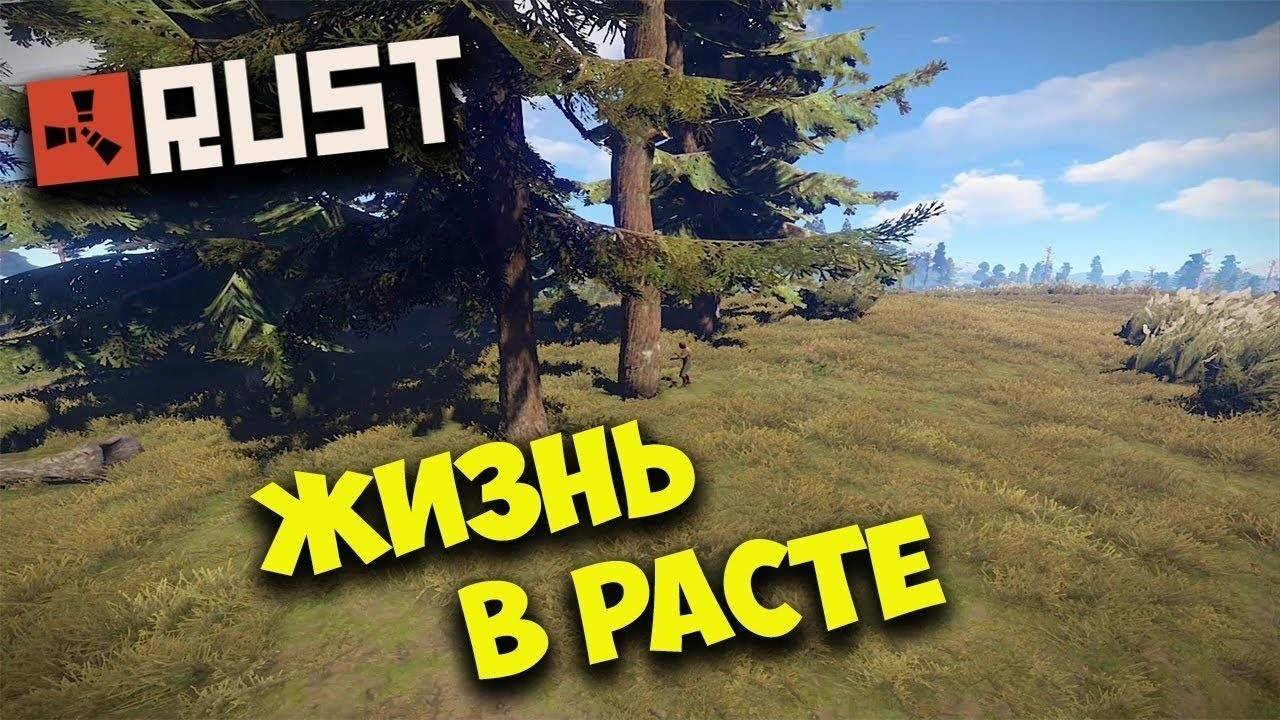 выживание в раст