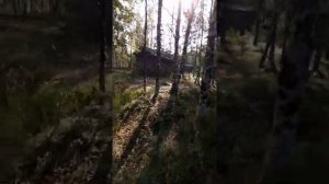 Сталинский лагерь 40-вых годов под г. Надым