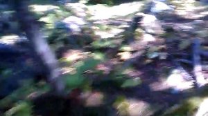 П. Подкаменная, Гора "Сказки Дракона" Иркутская область, Сибирь