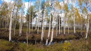 На "Росомахе" за торфом. Часть 2 "Дорога к болотам"