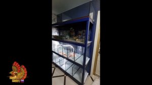 Монтаж  новой стойки для работы с гуппи.