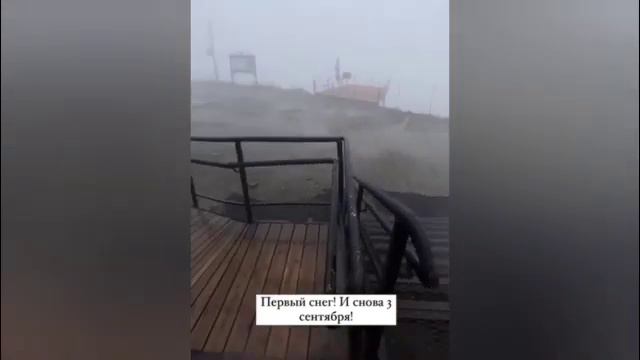 ТЕЗКОР ШОШИЛИНЧ  РОССИЯДА БОШЛАНДИ