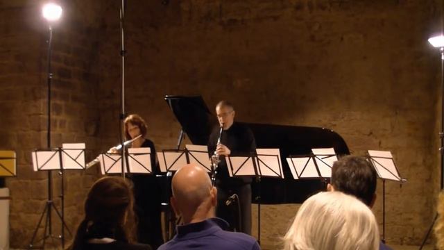 J. Rafael Subía V. - Oblivious (flute & clarinet) смотреть онлайн