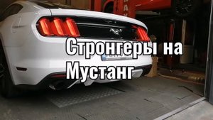 Стронгеры на Ford Mustang EcoBoost как звучит мустанг со стонгерами вместо штатного резонатора.