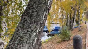 Плёс. Всё за один день.