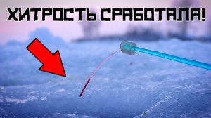 СДЕЛАЛ ЭТО и НАЧАЛОСЬ! Простая ХИТРОСТЬ СПАСЛА рыбалку в январе!