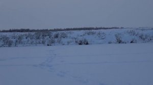 ОНИ ЖРУТ ВСЕ!!!  НАПАЛИ НА ЖЕРЛИЦУ!!!  ЭТО   ЗИМНЯЯ РЫБАЛКА НА ЖЕРЛИЦЫ В ЗАПОЛЯРЬЕ!!!