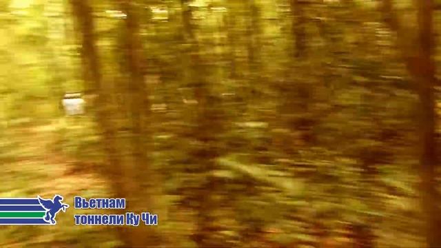 Ваш Вьетнам: Военные тоннели Ку Чи смотреть онлайн