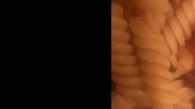 Креветки Песто смотреть онлайн