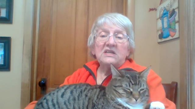 Wisdom of Solomon -- written and read by Susan Manzke смотреть онлайн