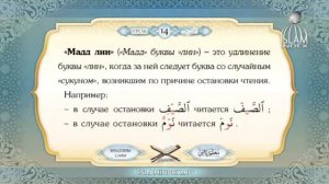 Муаллим Сани. Урок 14.