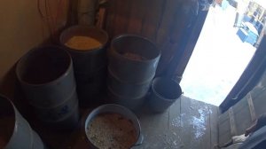 Зерносмесь для кроликов/ дробнёнка курам/состав.