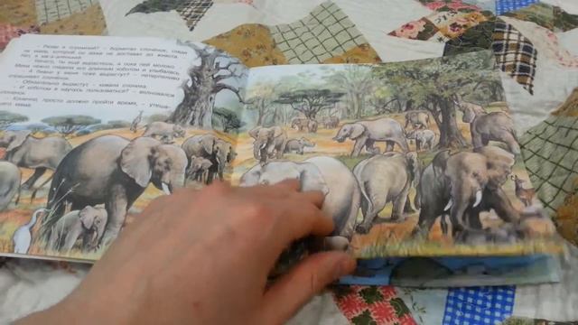 ПРИКЛЮЧЕНИЯ СЛОНЁНКА. ГУРИНА И. В. смотреть онлайн