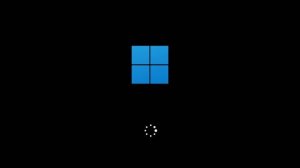 The new Windows 11 New Startup animation