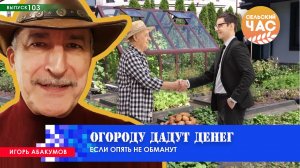 Огороду дадут денег. Сельский час #103 (Игорь Абакумов)