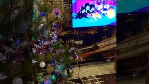 Наряжаем нашу ЁЛОЧКУ/30 Декабря Family в Деревне