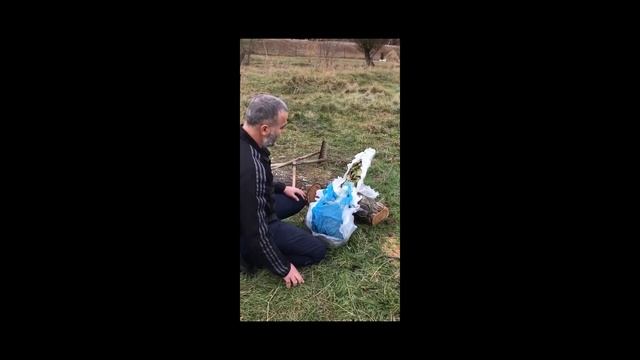 Фундук Трапезунд Закладка маточника в Воронеже смотреть онлайн