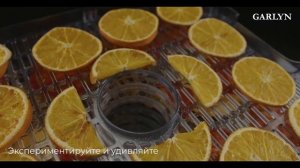 Сушилка для овощей и фруктов GARLYN D-11 _ 8 уровней для сушки _ Регулировка температуры 35-70 °C