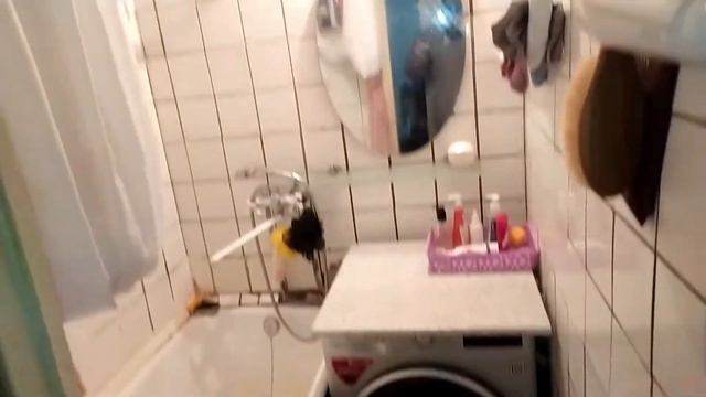 ОЧЕРЕДНАЯ ОБРАБОТКА ПОМЕЩЕНИЯ ОТ ТАРАКАНОВ! смотреть онлайн