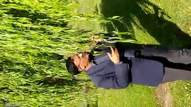 E -Tree talk 759th Weeping Willow ,Salix babylonica Garden Tree смотреть онлайн