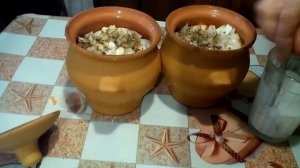 Курица с овощами в горшочках. Вкусный рецепт. #суфикс