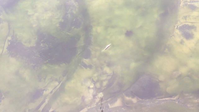 видео марви 90 смотреть онлайн