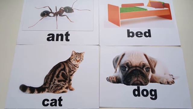 Английский алфавит-1: Aa, Bb, Cc, Dd. смотреть онлайн