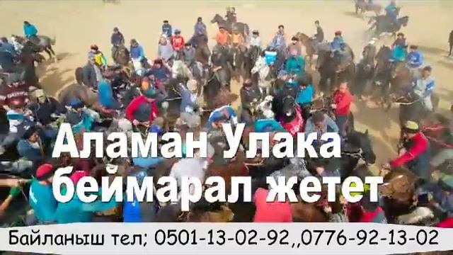 Жарыя Жарыя Жарыя!!! смотреть онлайн