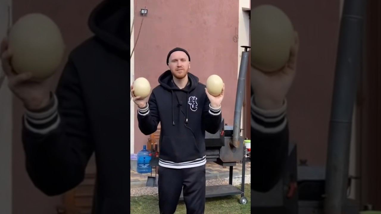 Готовлю яйца страуса смотреть онлайн